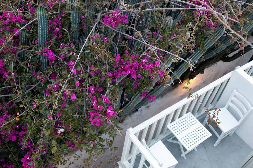 Fresh Boutique Hotel Mykonos Town Exteriér fotografie
